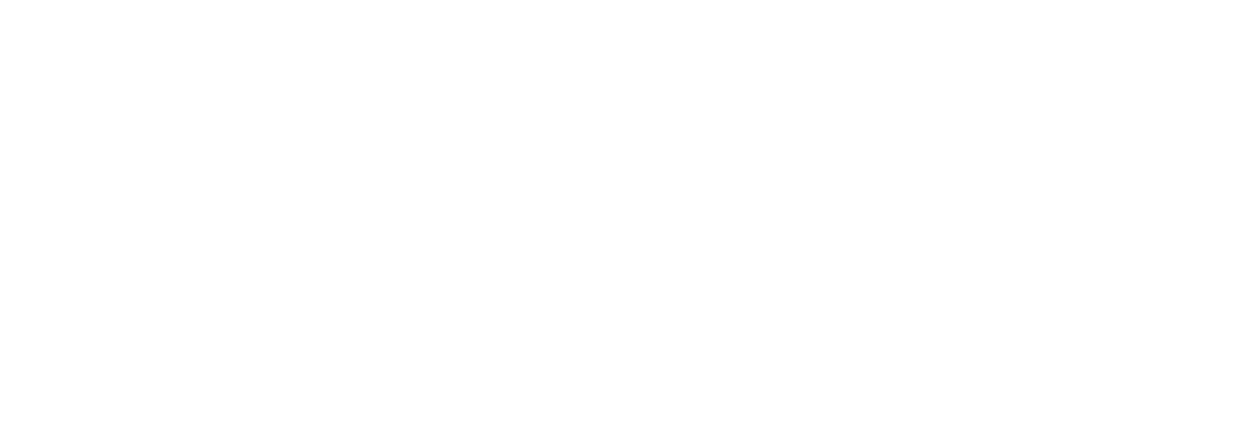 Bảo Tín Mạnh Hải